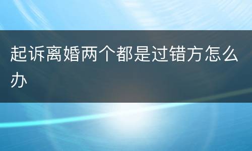 起诉离婚两个都是过错方怎么办
