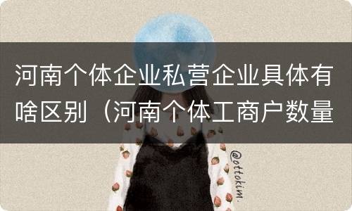 河南个体企业私营企业具体有啥区别（河南个体工商户数量）