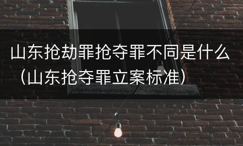 山东抢劫罪抢夺罪不同是什么（山东抢夺罪立案标准）