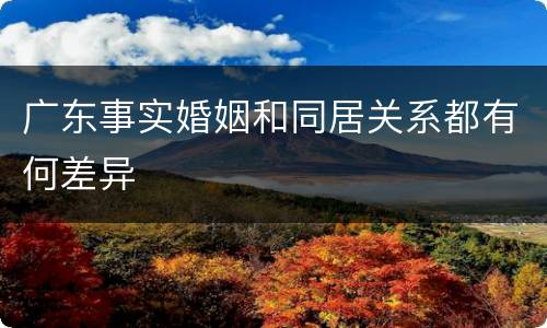 广东事实婚姻和同居关系都有何差异
