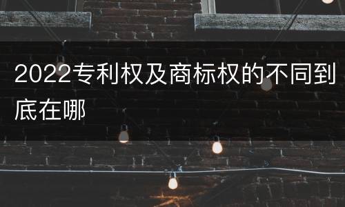 2022专利权及商标权的不同到底在哪