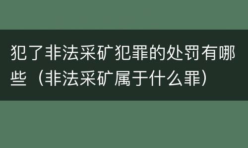 犯了非法采矿犯罪的处罚有哪些（非法采矿属于什么罪）