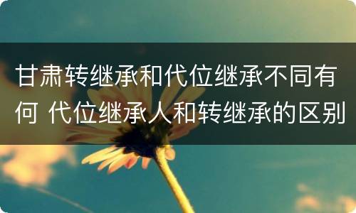 甘肃转继承和代位继承不同有何 代位继承人和转继承的区别