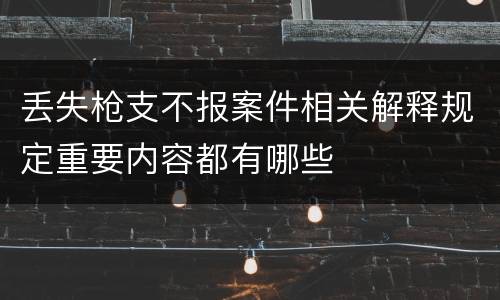 丢失枪支不报案件相关解释规定重要内容都有哪些