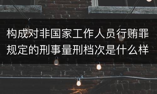 构成对非国家工作人员行贿罪规定的刑事量刑档次是什么样的