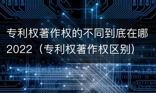 专利权著作权的不同到底在哪2022（专利权著作权区别）