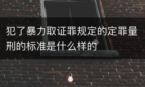 犯了暴力取证罪规定的定罪量刑的标准是什么样的