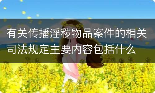 有关传播淫秽物品案件的相关司法规定主要内容包括什么