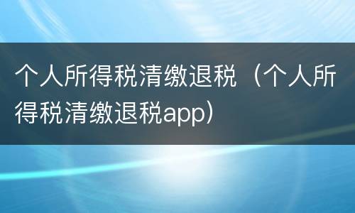 个人所得税清缴退税（个人所得税清缴退税app）
