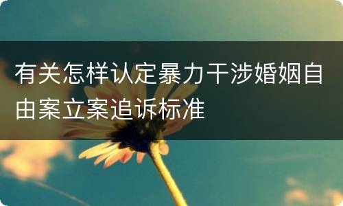 有关怎样认定暴力干涉婚姻自由案立案追诉标准