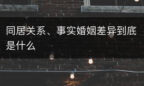 同居关系、事实婚姻差异到底是什么