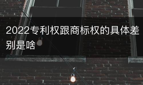 2022专利权跟商标权的具体差别是啥