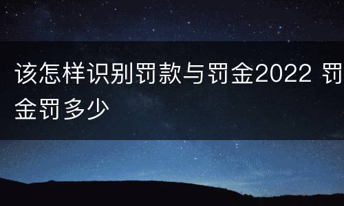 该怎样识别罚款与罚金2022 罚金罚多少