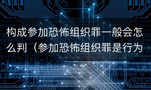 构成参加恐怖组织罪一般会怎么判（参加恐怖组织罪是行为犯还是举动犯）