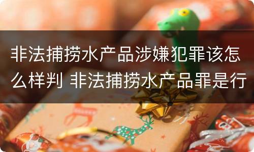 非法捕捞水产品涉嫌犯罪该怎么样判 非法捕捞水产品罪是行为犯吗