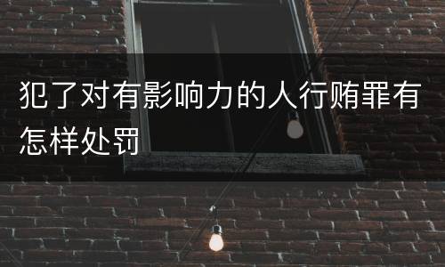 犯了对有影响力的人行贿罪有怎样处罚