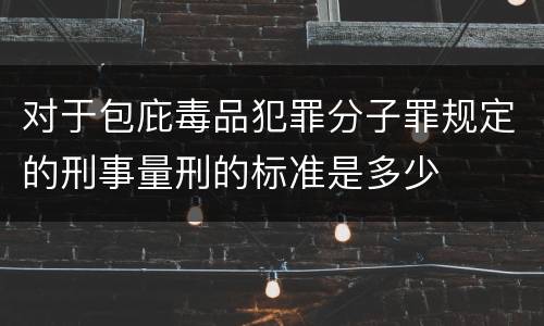 对于包庇毒品犯罪分子罪规定的刑事量刑的标准是多少