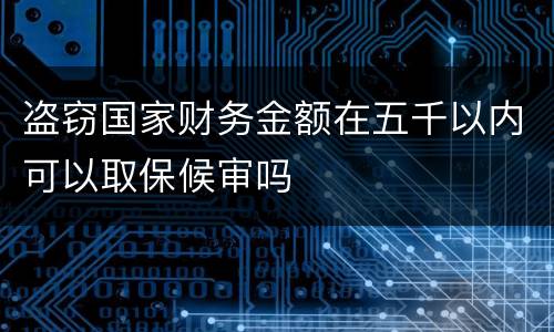 盗窃国家财务金额在五千以内可以取保候审吗