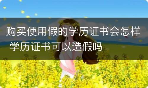 购买使用假的学历证书会怎样 学历证书可以造假吗