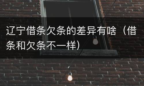 辽宁借条欠条的差异有啥（借条和欠条不一样）