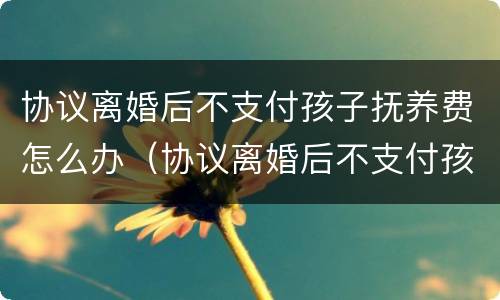 协议离婚后不支付孩子抚养费怎么办（协议离婚后不支付孩子抚养费怎么办呢）