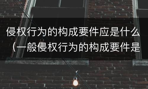 侵权行为的构成要件应是什么（一般侵权行为的构成要件是什么）