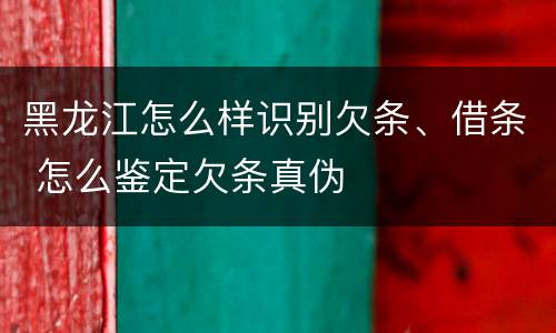 黑龙江怎么样识别欠条、借条 怎么鉴定欠条真伪