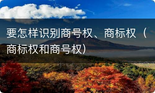 要怎样识别商号权、商标权（商标权和商号权）