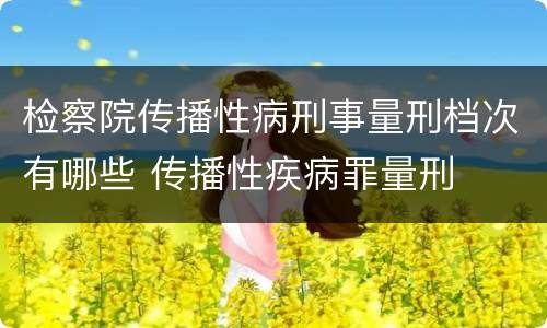 检察院传播性病刑事量刑档次有哪些 传播性疾病罪量刑