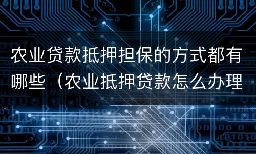 农业贷款抵押担保的方式都有哪些（农业抵押贷款怎么办理）
