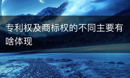 专利权及商标权的不同主要有啥体现