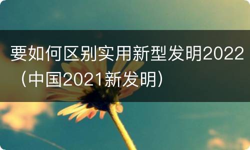 要如何区别实用新型发明2022（中国2021新发明）
