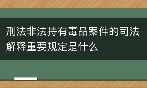 刑法非法持有毒品案件的司法解释重要规定是什么