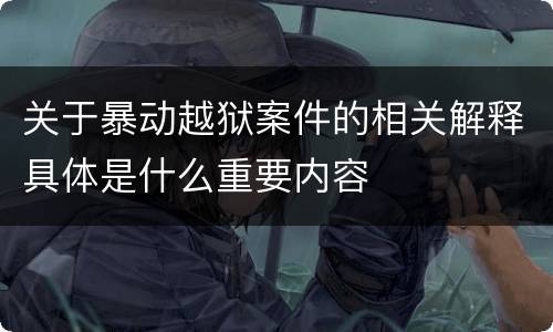 关于暴动越狱案件的相关解释具体是什么重要内容