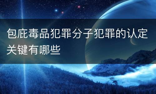 包庇毒品犯罪分子犯罪的认定关键有哪些