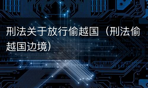 刑法关于放行偷越国（刑法偷越国边境）