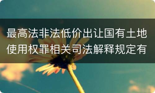 最高法非法低价出让国有土地使用权罪相关司法解释规定有哪些内容