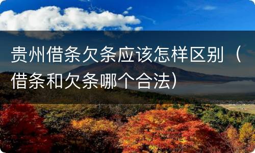 贵州借条欠条应该怎样区别（借条和欠条哪个合法）