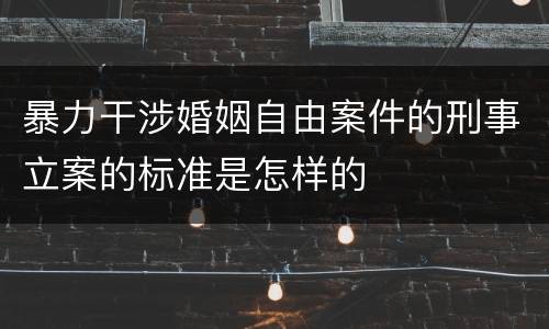 暴力干涉婚姻自由案件的刑事立案的标准是怎样的