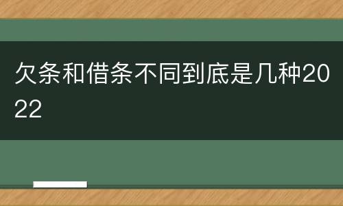 欠条和借条不同到底是几种2022