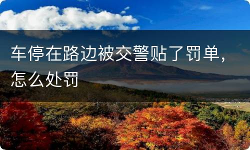 车停在路边被交警贴了罚单，怎么处罚