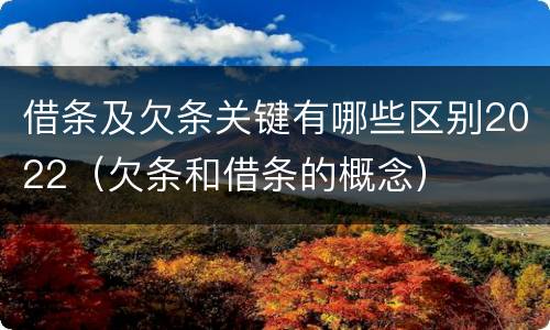 借条及欠条关键有哪些区别2022（欠条和借条的概念）