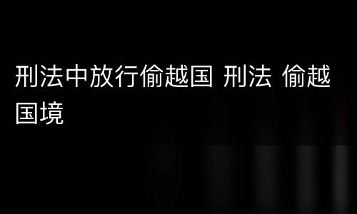 刑法中放行偷越国 刑法 偷越国境