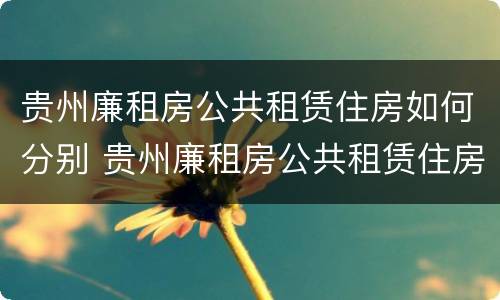 贵州廉租房公共租赁住房如何分别 贵州廉租房公共租赁住房如何分别申请