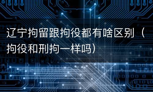 辽宁拘留跟拘役都有啥区别（拘役和刑拘一样吗）