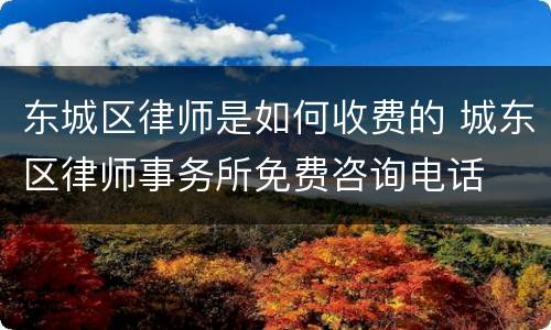 东城区律师是如何收费的 城东区律师事务所免费咨询电话
