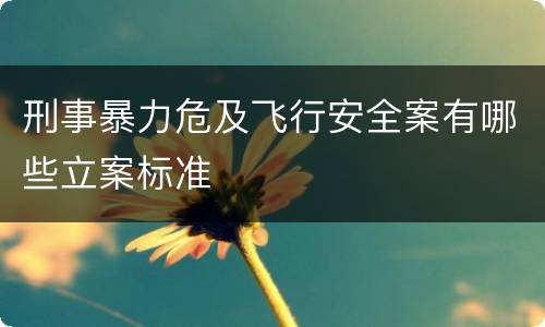 刑事暴力危及飞行安全案有哪些立案标准