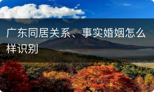 广东同居关系、事实婚姻怎么样识别