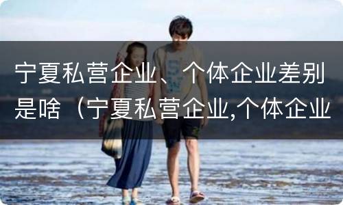 宁夏私营企业、个体企业差别是啥（宁夏私营企业,个体企业差别是啥样的）