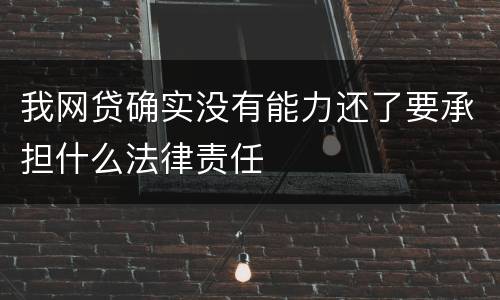 我网贷确实没有能力还了要承担什么法律责任